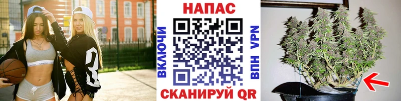 Виды наркотиков купить Кондопога Марихуана  Меф  Амфетамин  ГАШ  Alpha PVP 