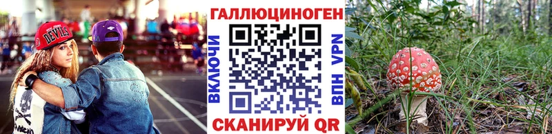 Псилоцибиновые грибы GOLDEN TEACHER  продажа наркотиков  Кондопога 